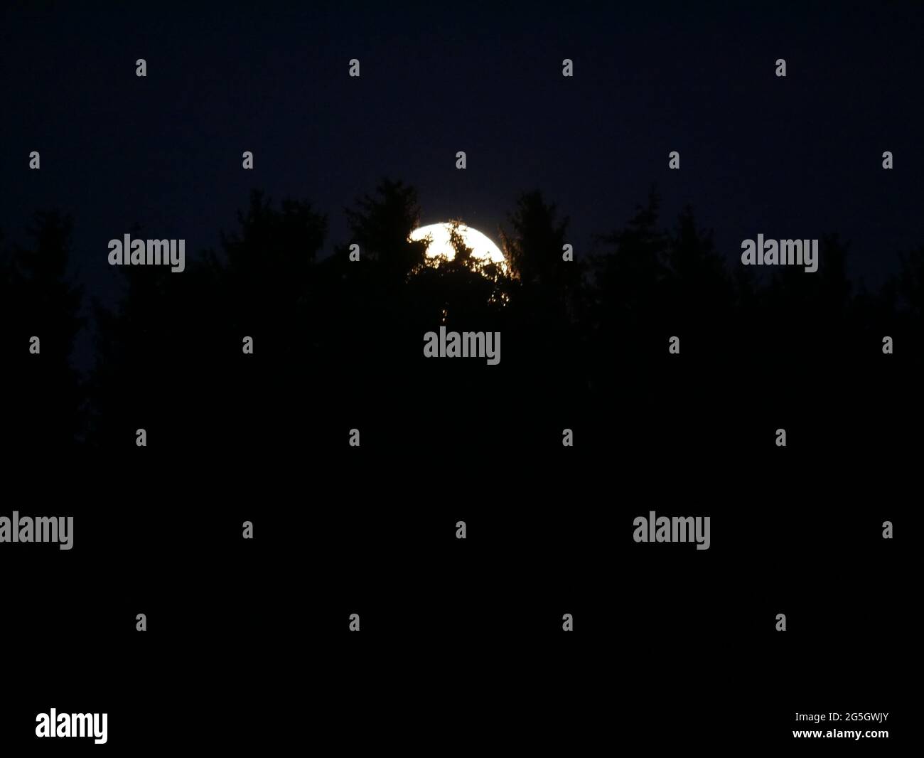 A beautiful view of the full moon visible in the dark sky at night Stock Photo Alamy