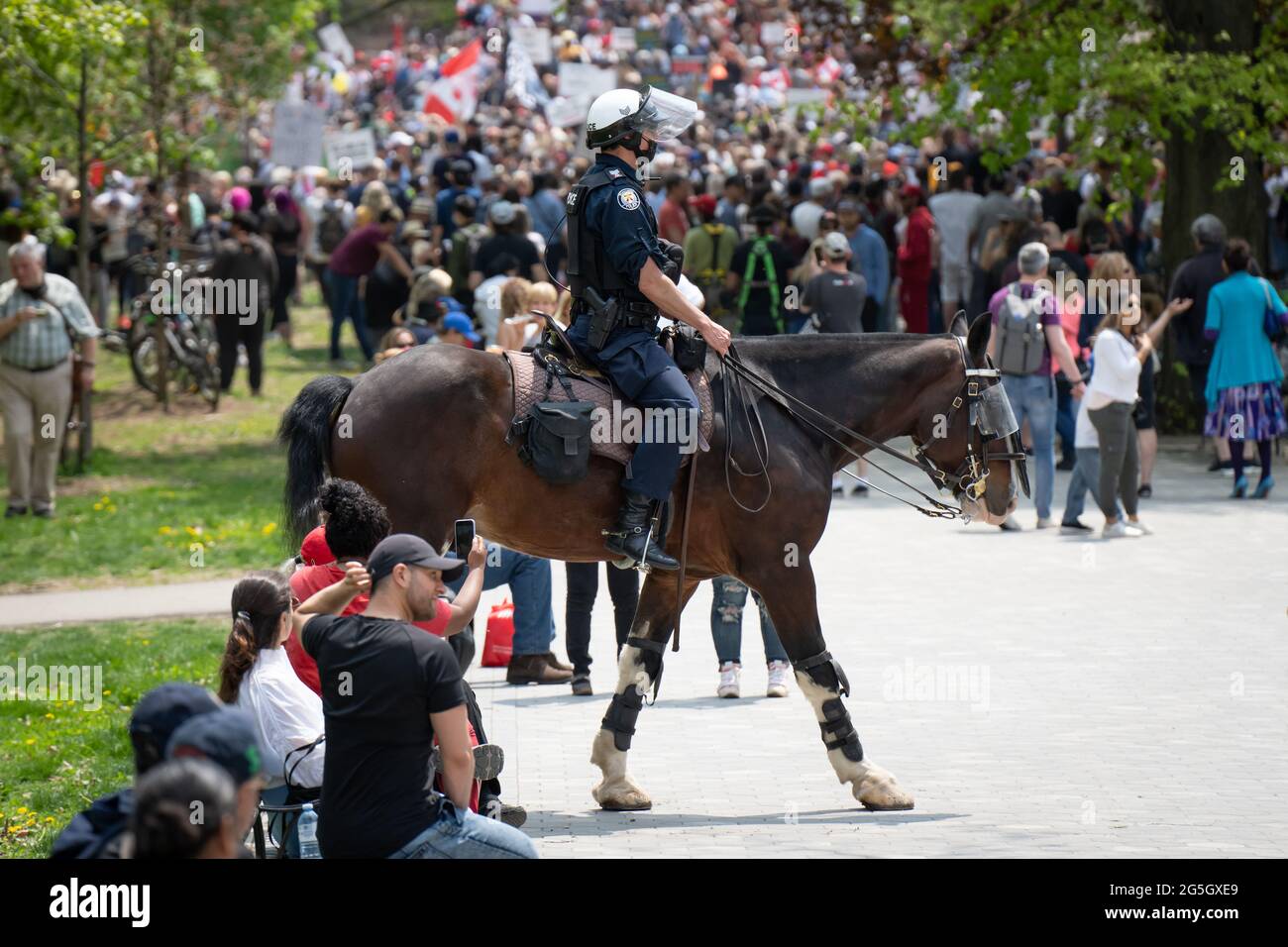 A mounted police officer walks through Toronto, Ontario's Queen's Park during an anti-lockdown protest. Stock Photo