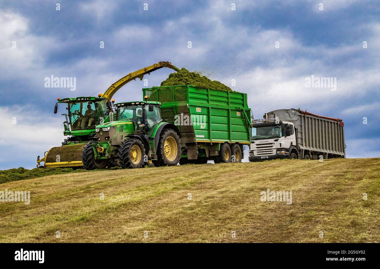 Fill her up well. John Deere silage harvester filling trailer and waiting Scania. Stock Photo