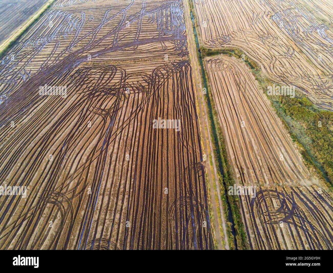 Aerial view of rice plantation fields and farm dirty road, Venancio ...