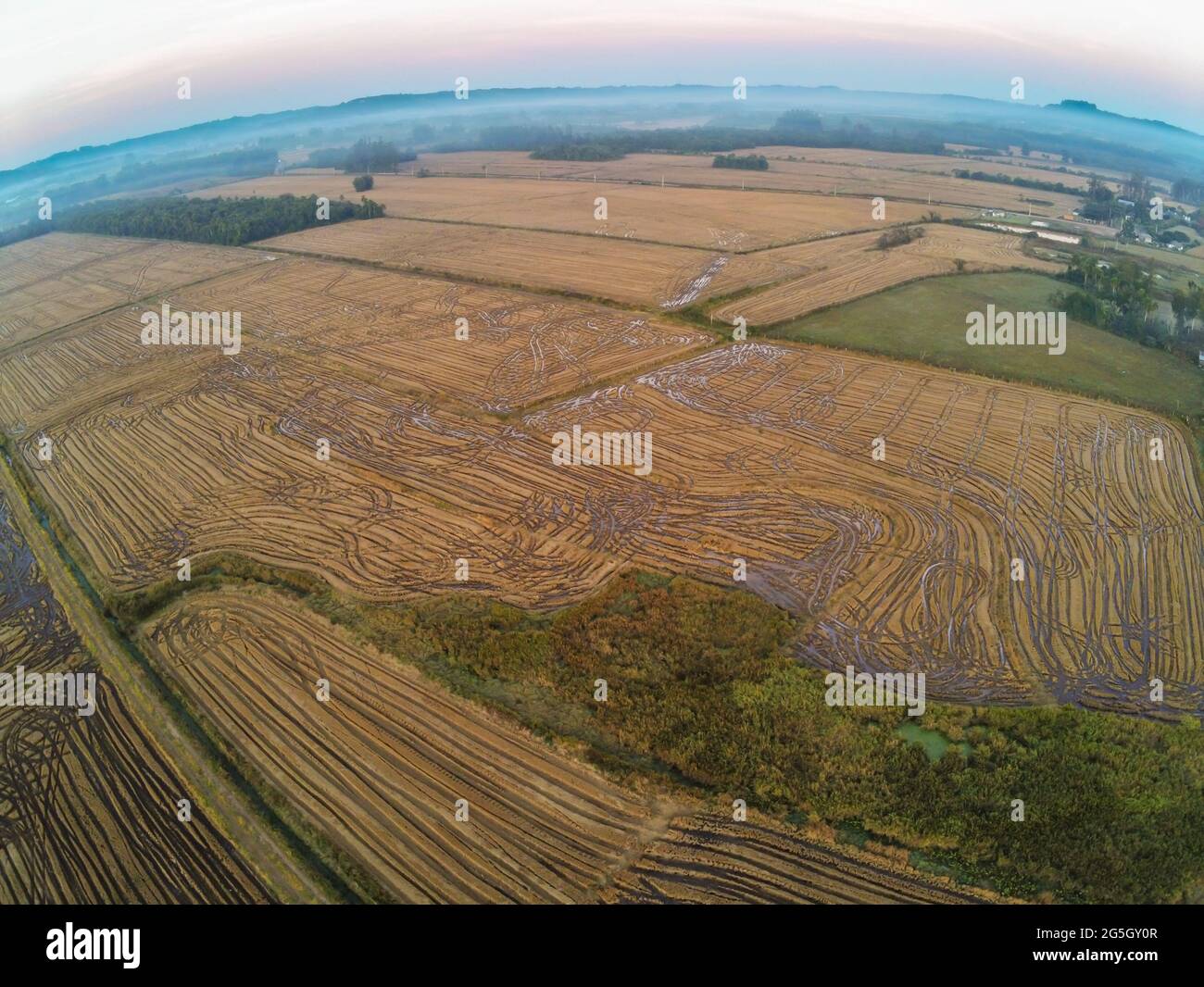 Aerial view of rice plantation fields and farm dirty road, Venancio ...