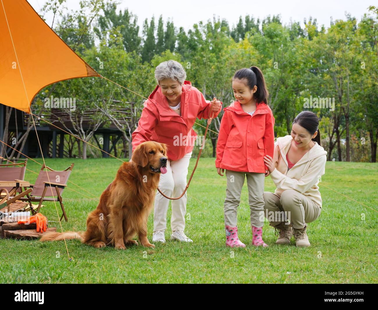 Happy grandparents and grandchildren play with their pet dog in the park high quality photo Stock Photo