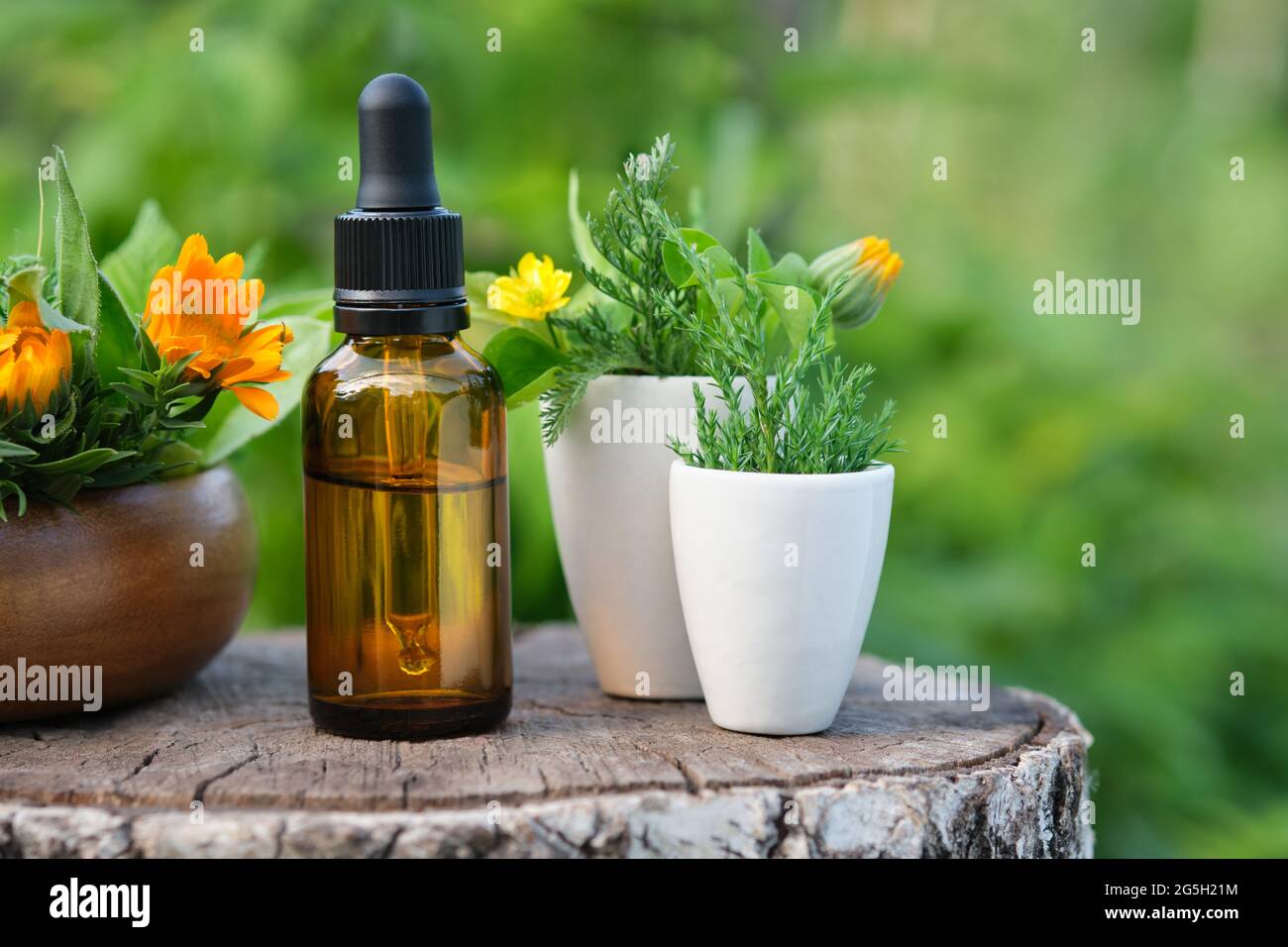 Dropper bottle of calendula essential oil, infusion or serum, healthy marigold flowers and juniper twigs in mortars outdoors. Alternative medicine. Stock Photo