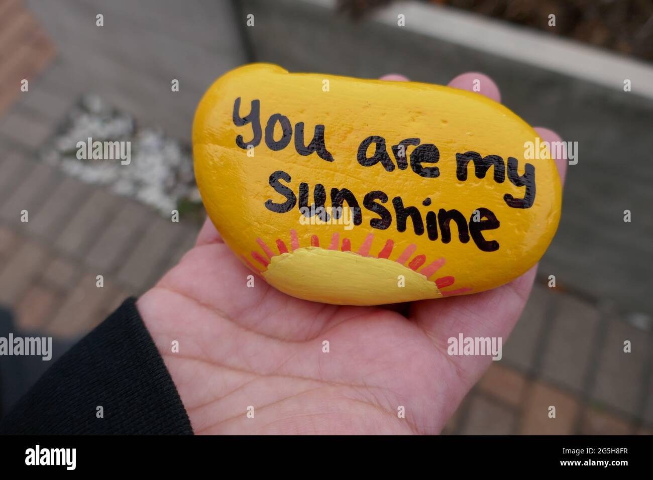 Hand holding up yellow you are my sunshine kindness rock Stock Photo