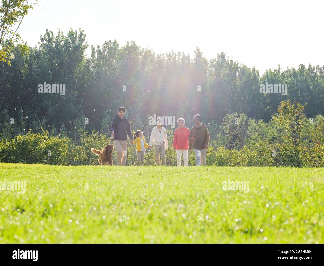 Happy family of five and pet dog walking in the park high quality photo Stock Photo