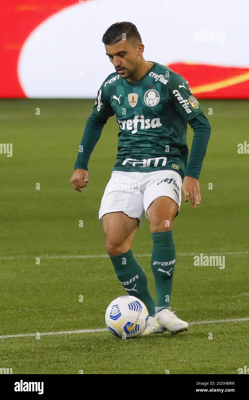 VÍDEO  Breno Lopes abre o placar para o Palmeiras contra o Fluminense