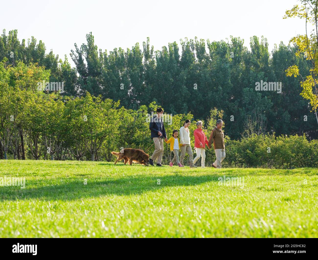 Happy family of five and pet dog walking in the park high quality photo Stock Photo