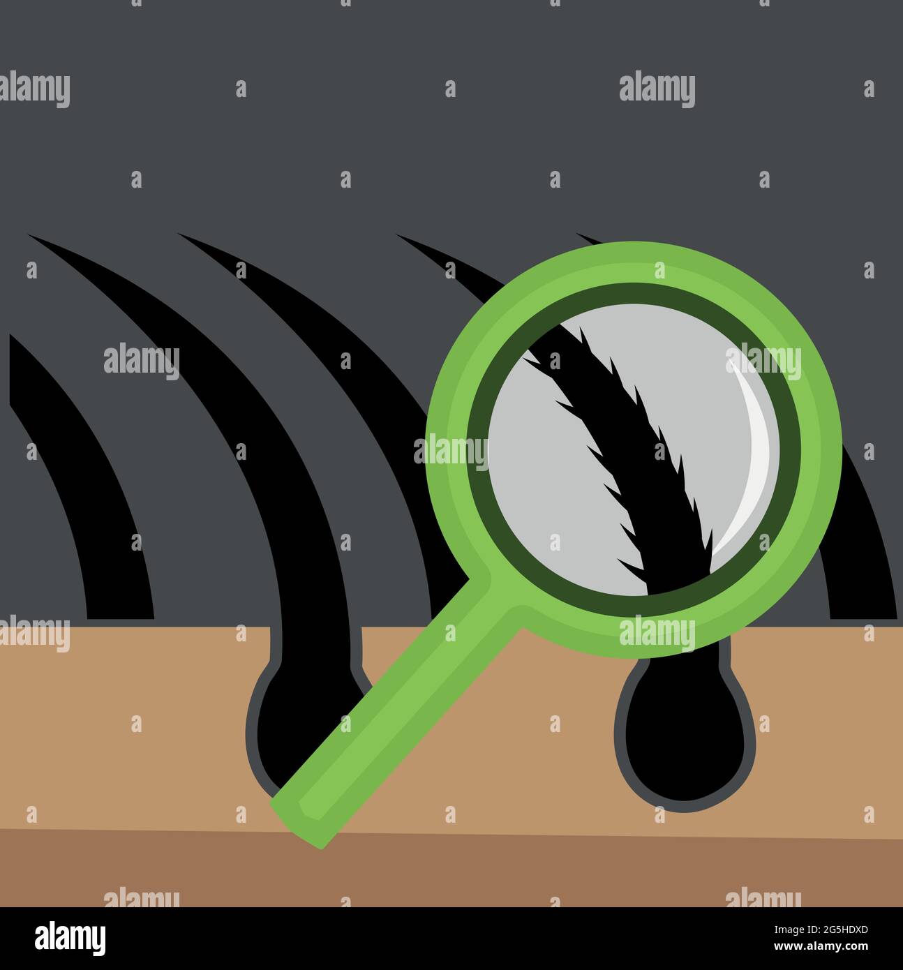 Magnifying glass and hair. illustration of knowing healthy hair. Stock Vector