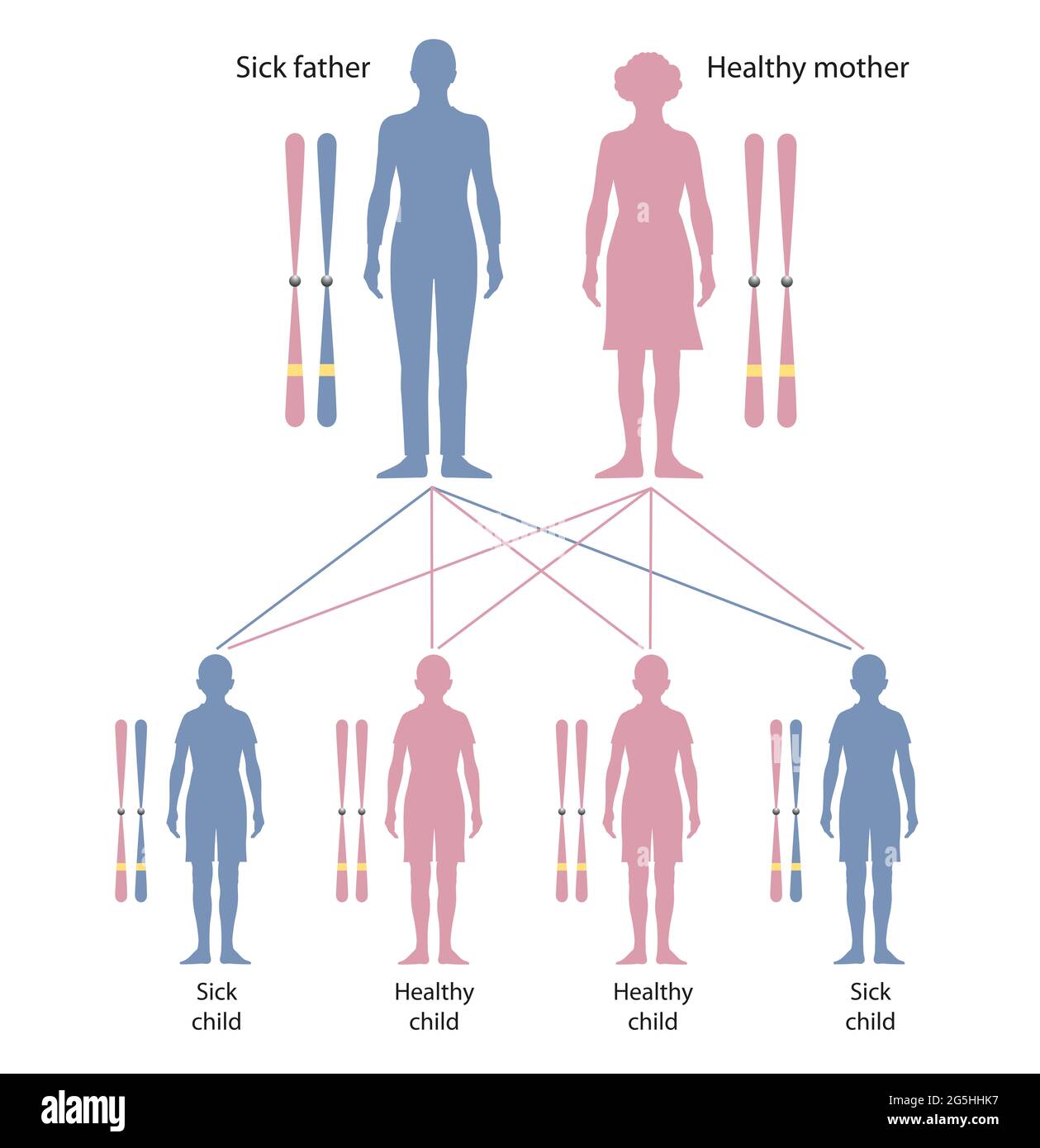 Cystic fibrosis is a genetic disorder. Neurofibromatosis. Heredity ...