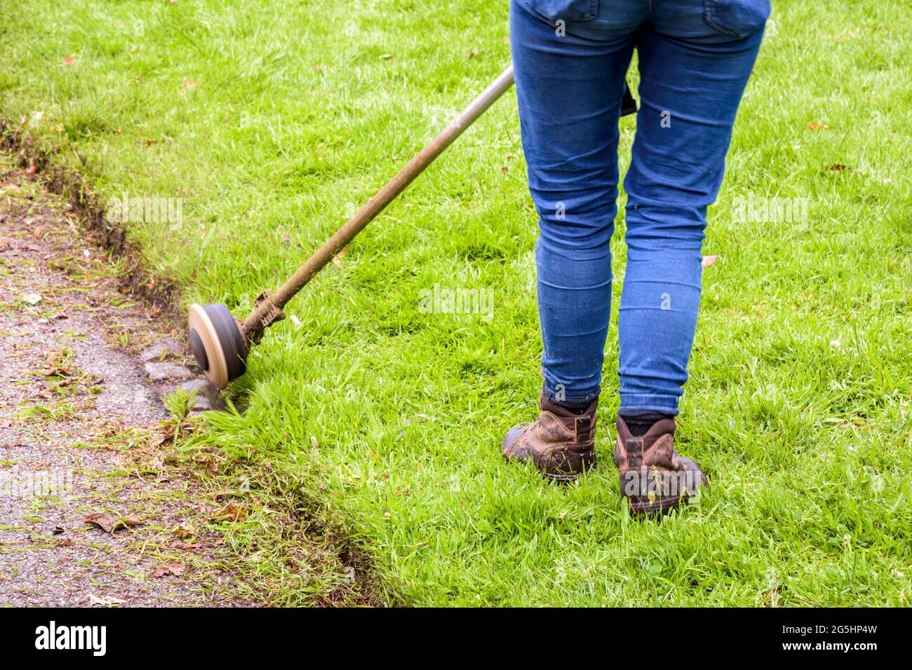 A woman is using a string trimmer to edge the lawn along the driveway. Stock Photo