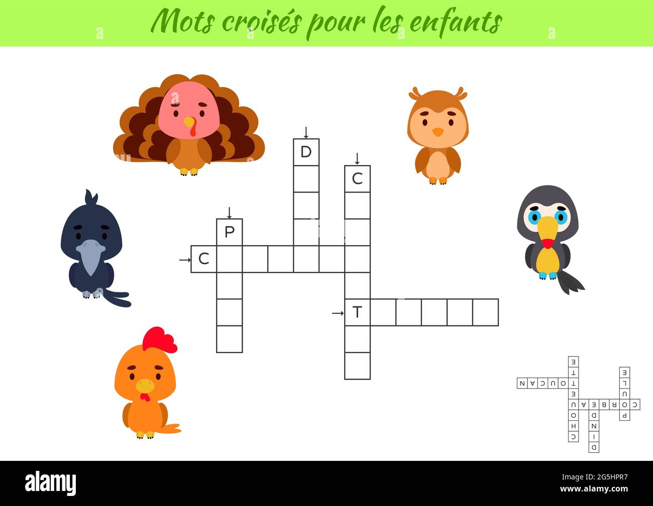 Crossword for kids in French with pictures of birds. Educational Regarding French Worksheet For Kids