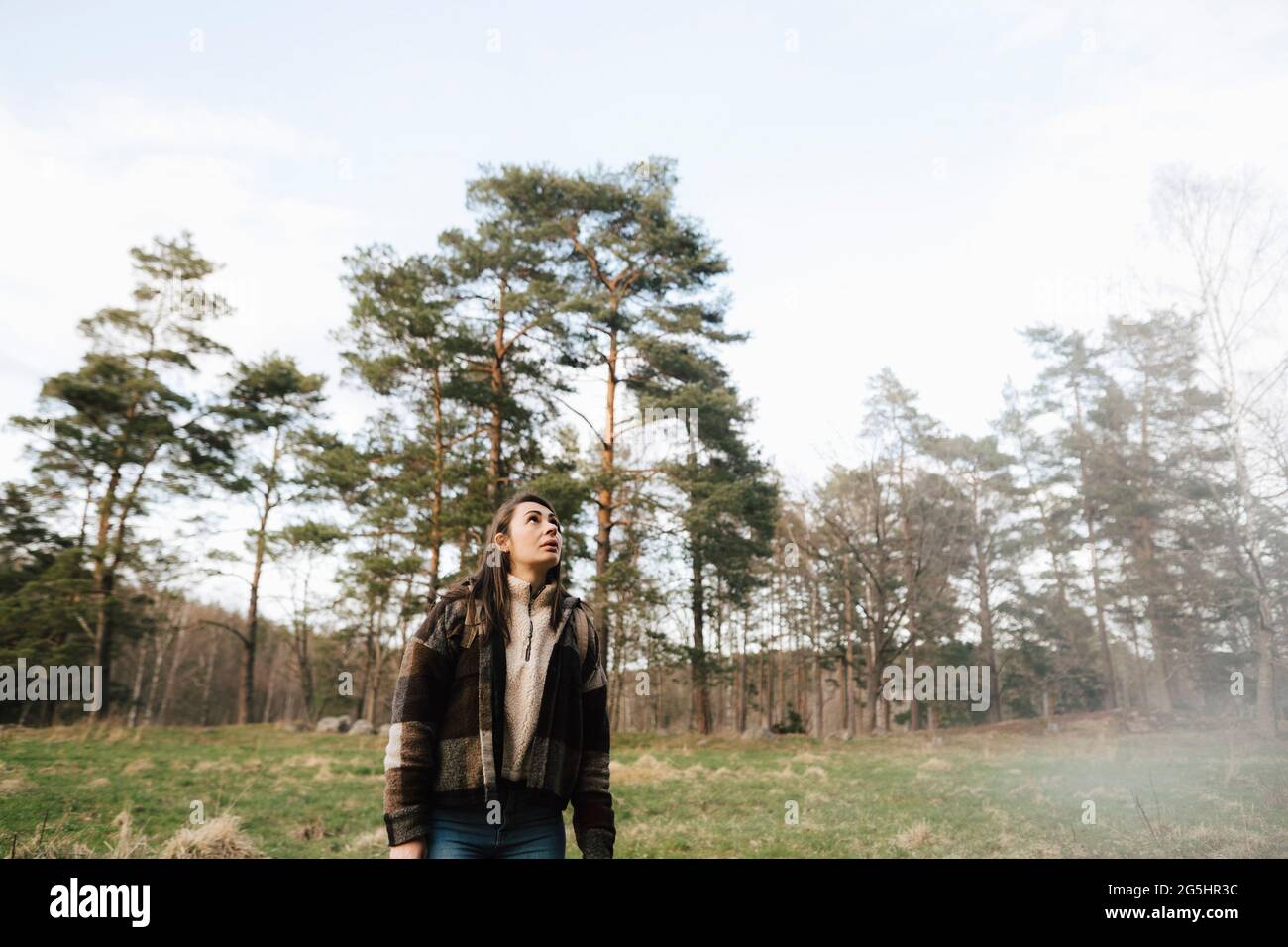 Female hiker looking up while exploring in forest Stock Photo