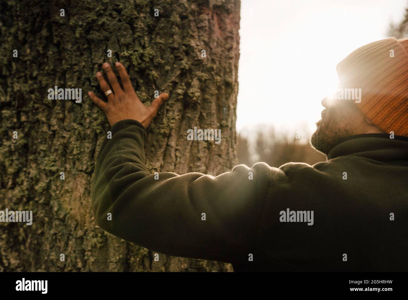 Mature male hiker touching tree trunk in forest on sunny day Stock Photo