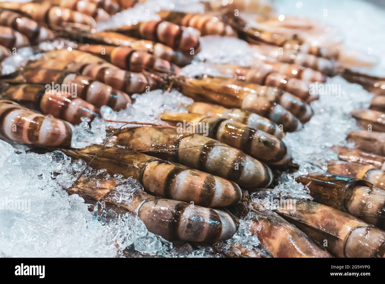 Giant tiger prawn or Asian tiger shrimp Stock Photo Alamy