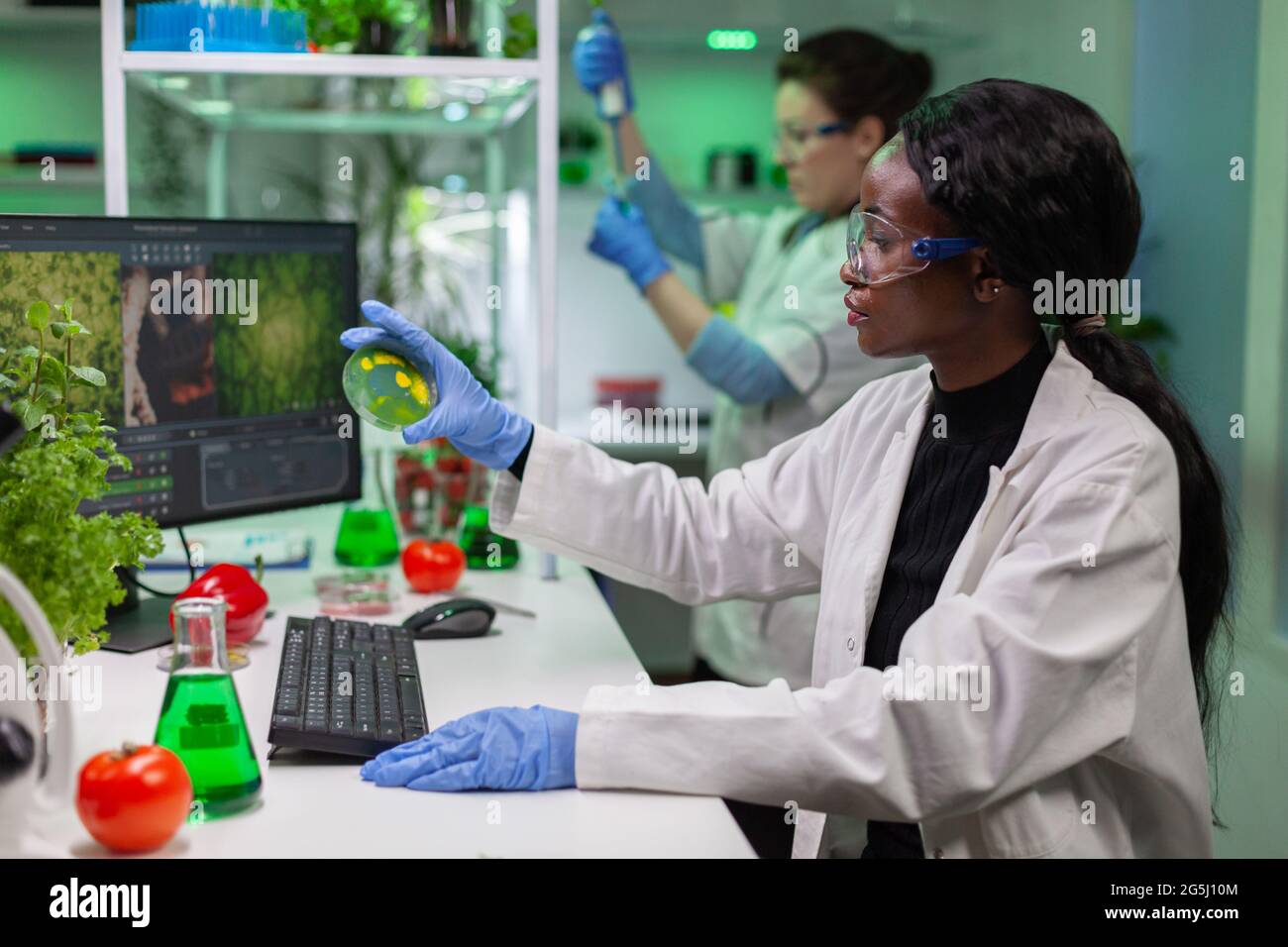 african-pharmaceutical-researcher-analyzing-solution-test-from-petri