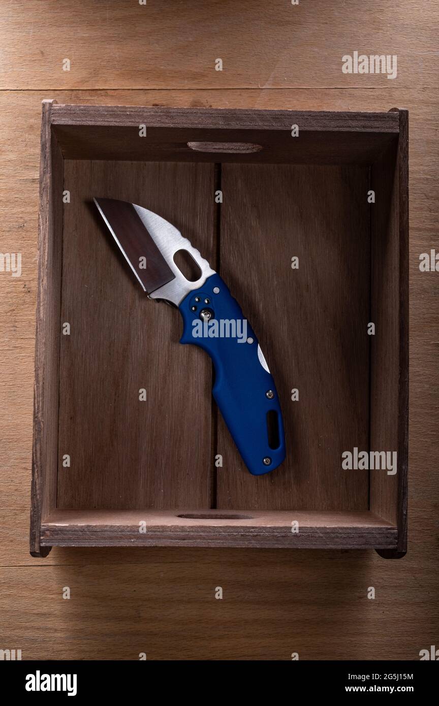 A folding pocket knife with a blue handle. Everyday folding knife