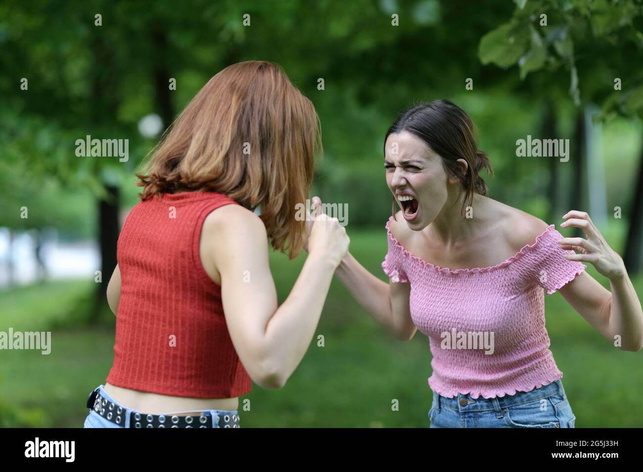 Two angry women arguing aggressively in a park Stock Photo