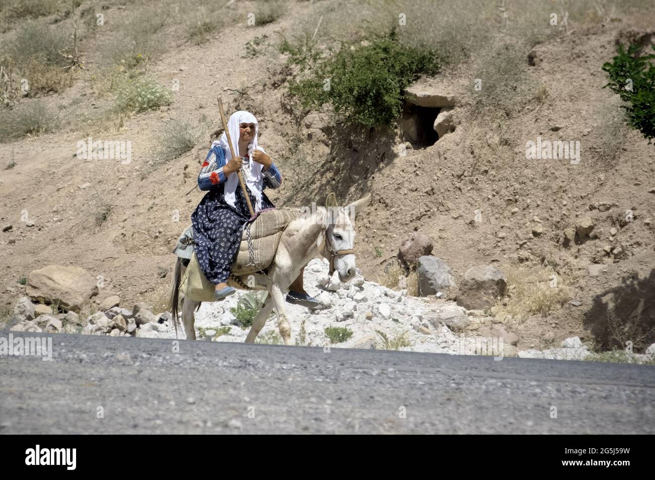 culture of turkey woman on a donkey in old traditional dress and headscarf Stock Photo