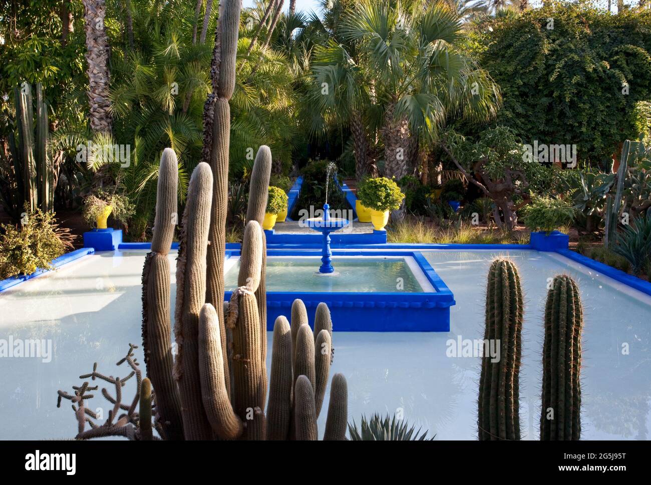 Le Jardin Majorelle Stock Photo Alamy
