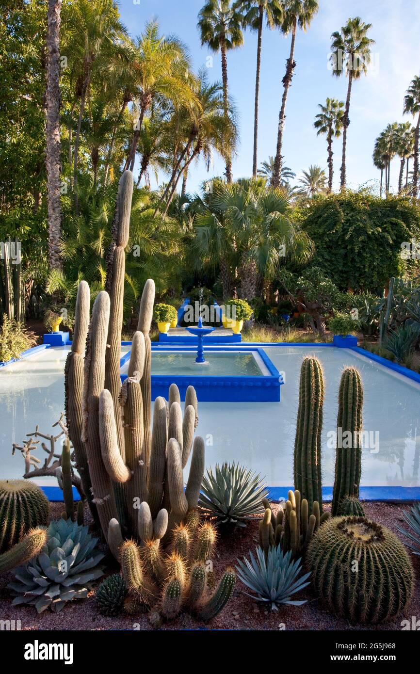 Le Jardin Majorelle Stock Photo Alamy