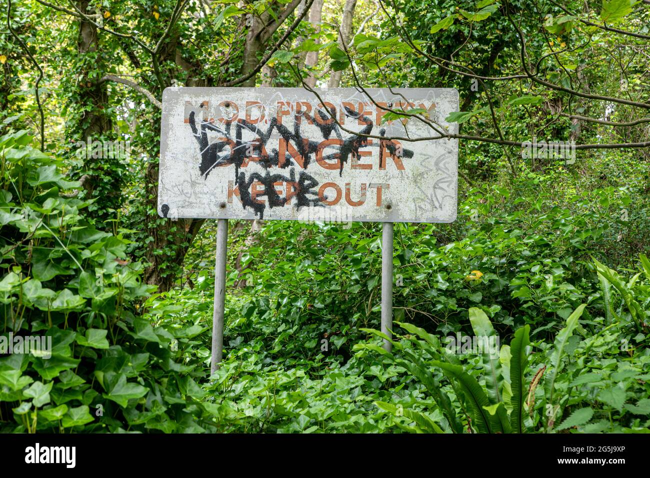 A faded defaced MOD Poperty sign in woodland Stock Photo