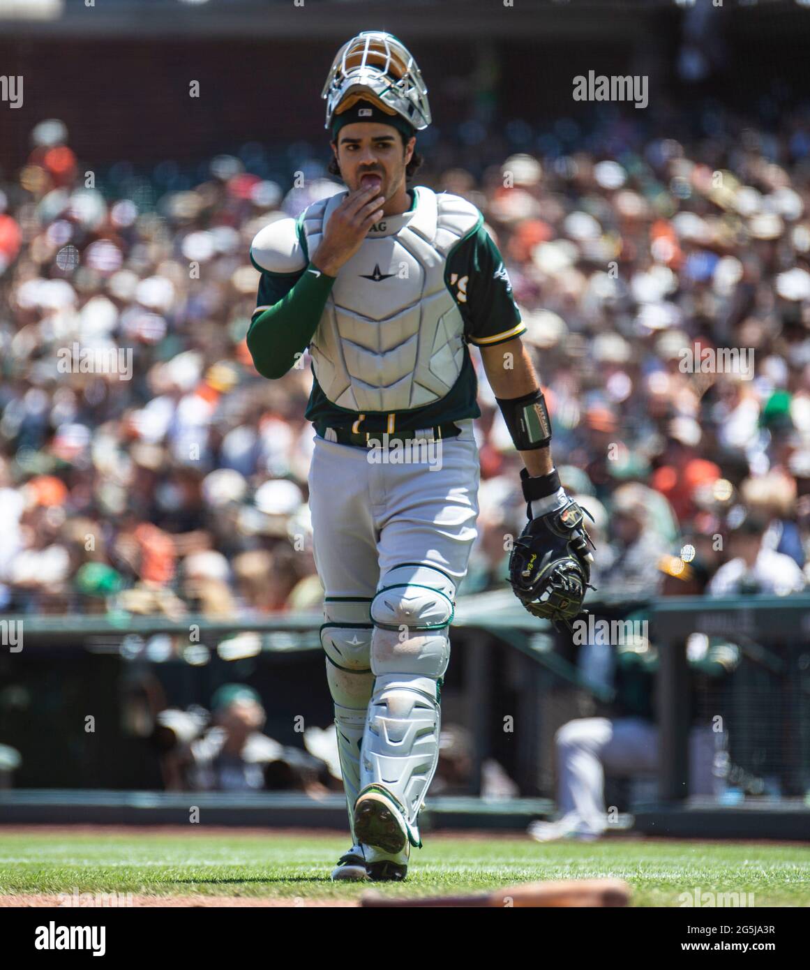 June 27 2021 San Francisco CA, U.S.A. Oakland Athletics catcher Aramis