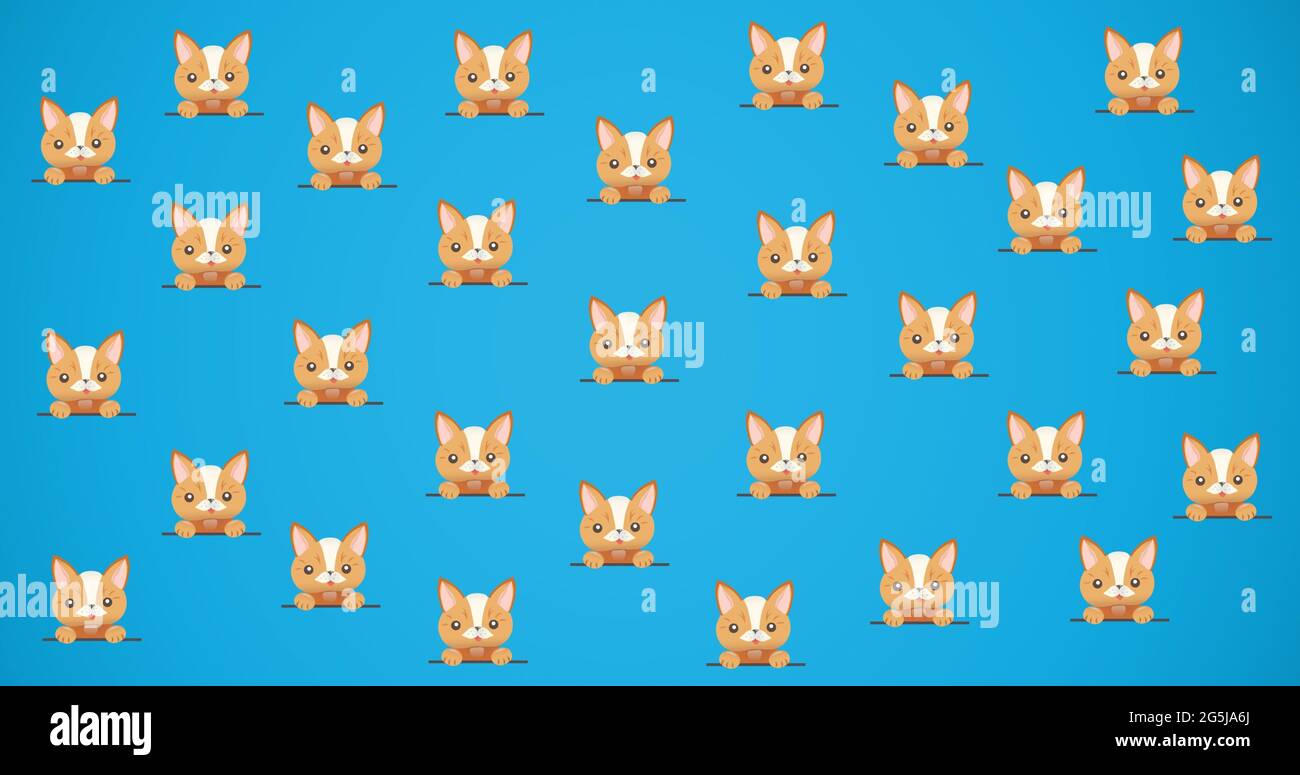 Composition of rows of cute cats on blue background Stock Photo