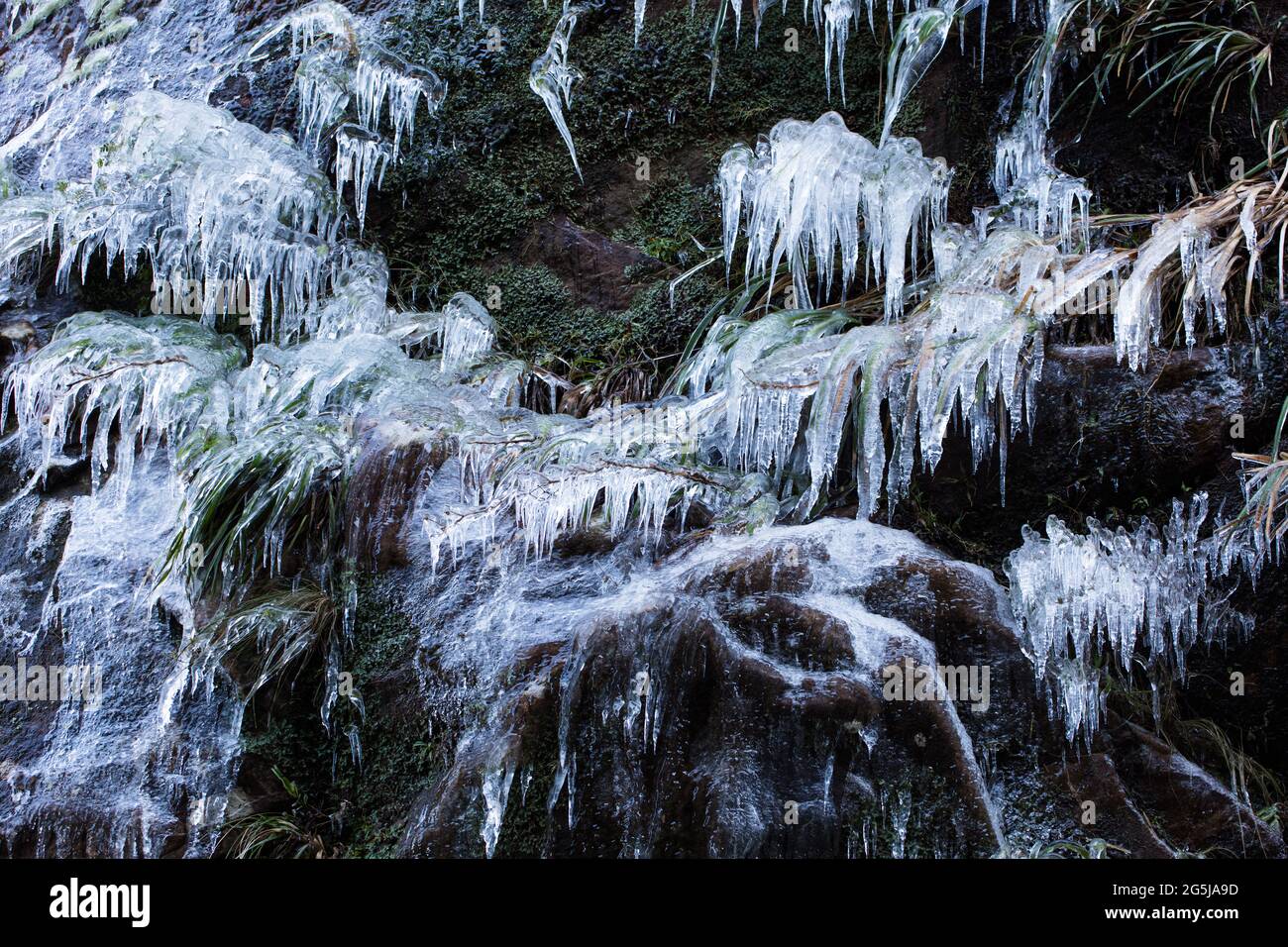 Closeup shot of frozen nature with icicles in Brazil Stock Photo