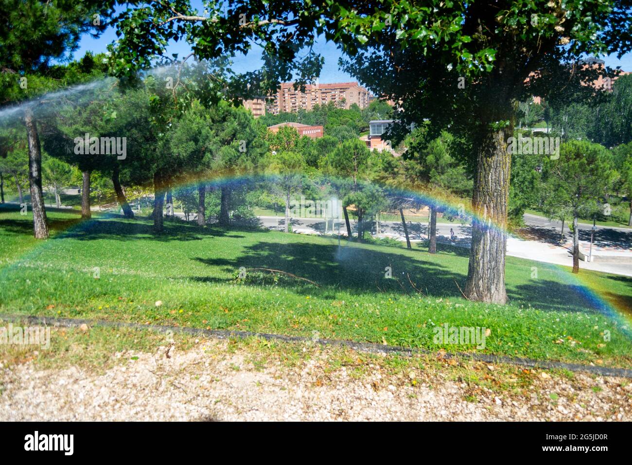 Rainbow formed by watering the lawn in a park in Madrid, Spain. Europe