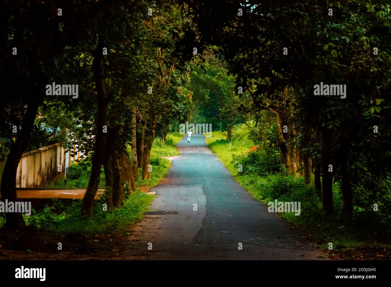 Must beautiful road Chittagong university Stock Photo