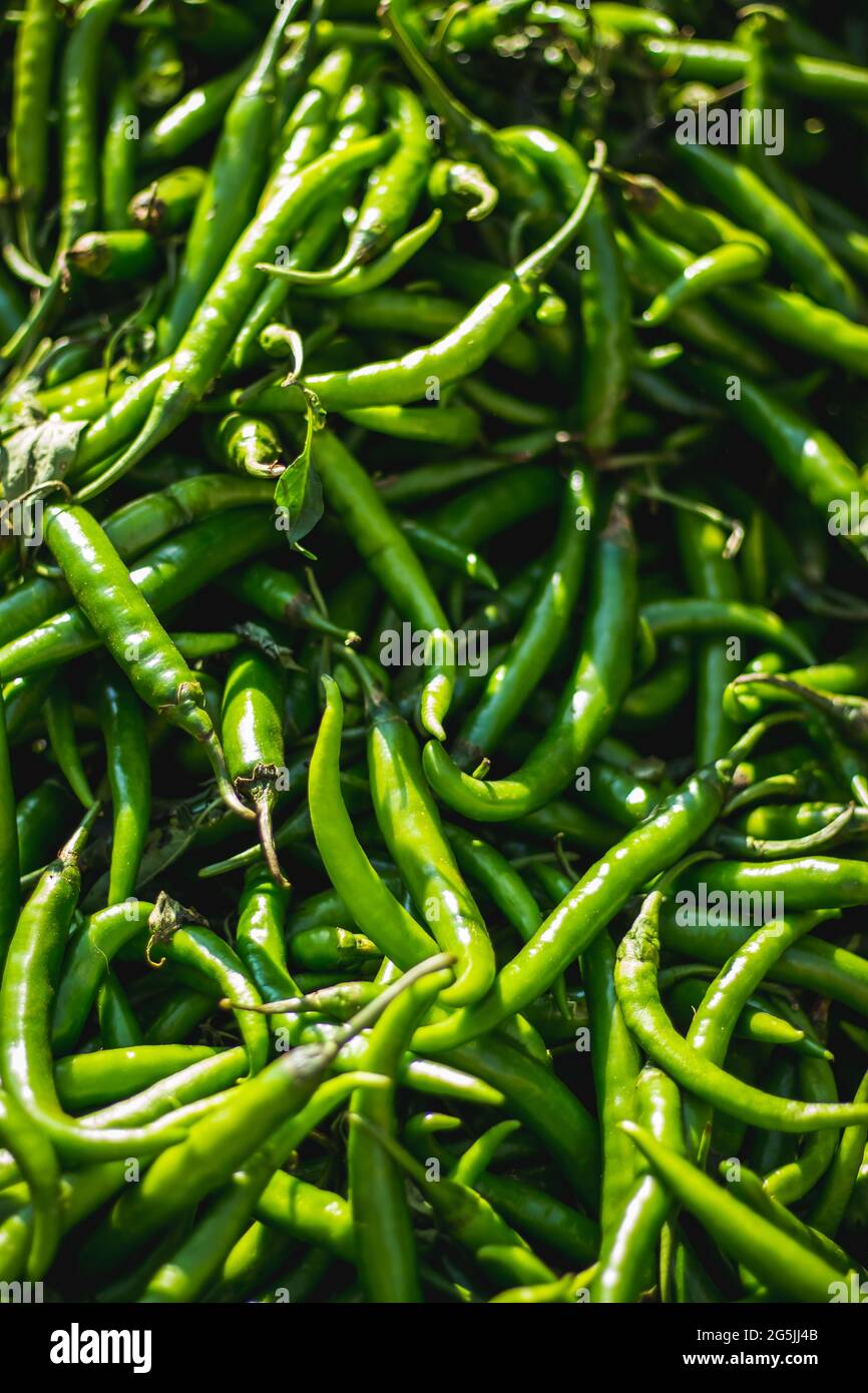 Green chilli peppers for sale at a street market. Green Chillis freshly ...