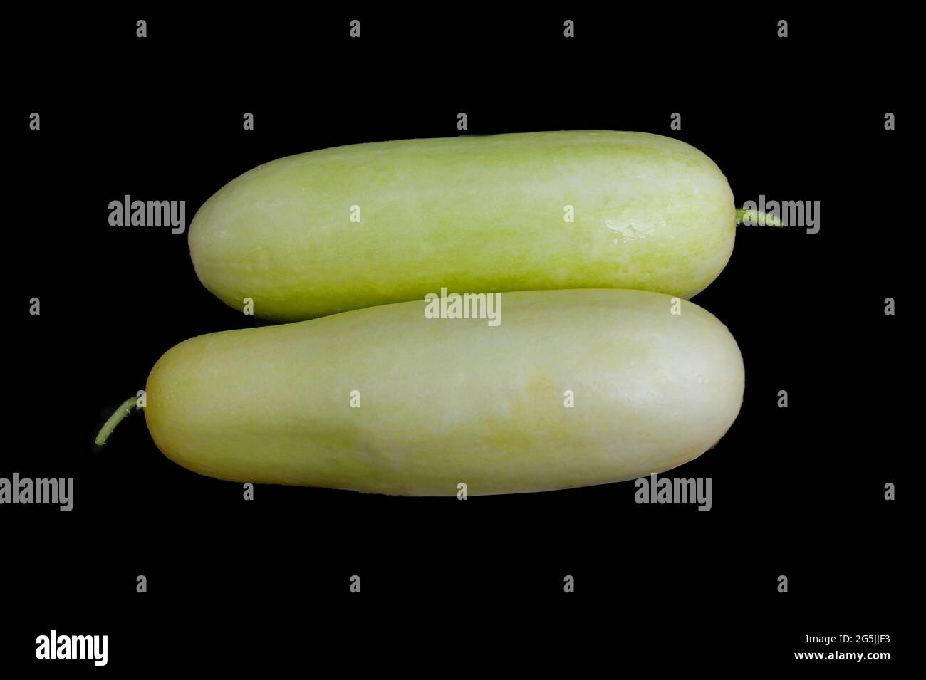 Green fresh cucumber isolated on a plate Stock Photo