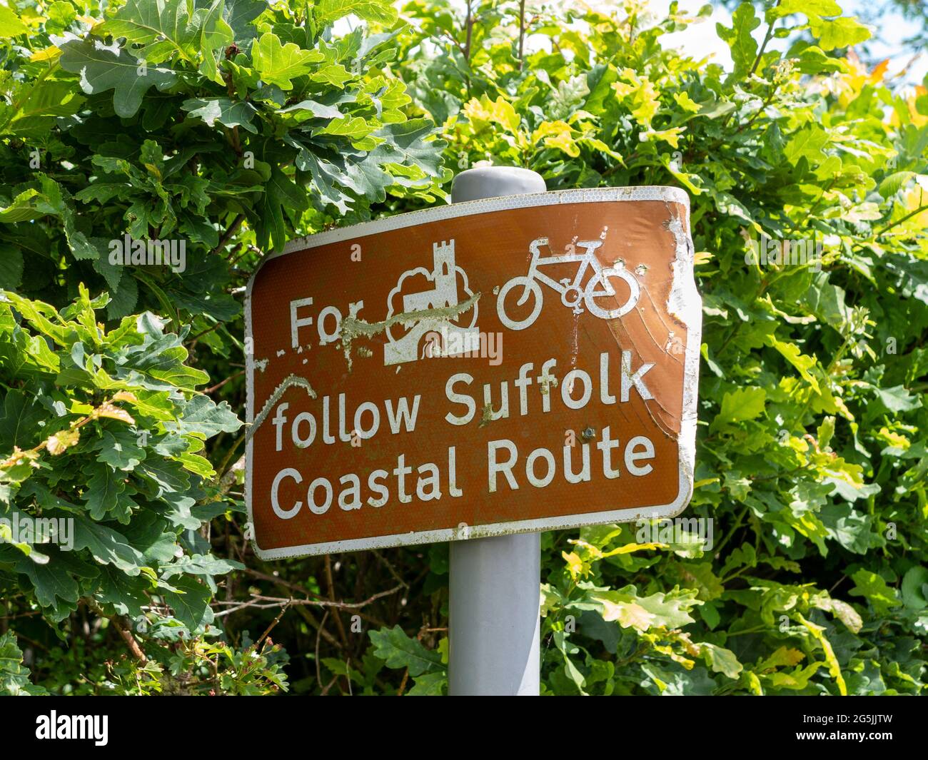 A coastal cycle route rectangular road sign in a hedge showing a dented and damaged corner Stock Photo