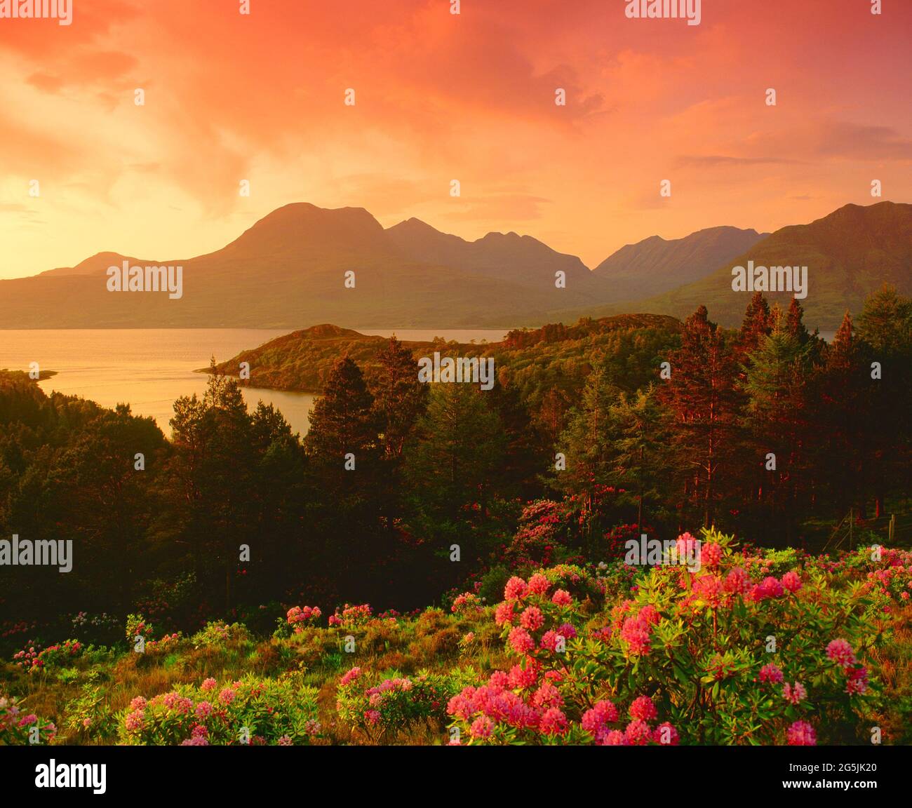 UK, Scotland, Highlands, Wester Ross, dusk over Loch torridon, spring, with rhododendrons, Stock Photo