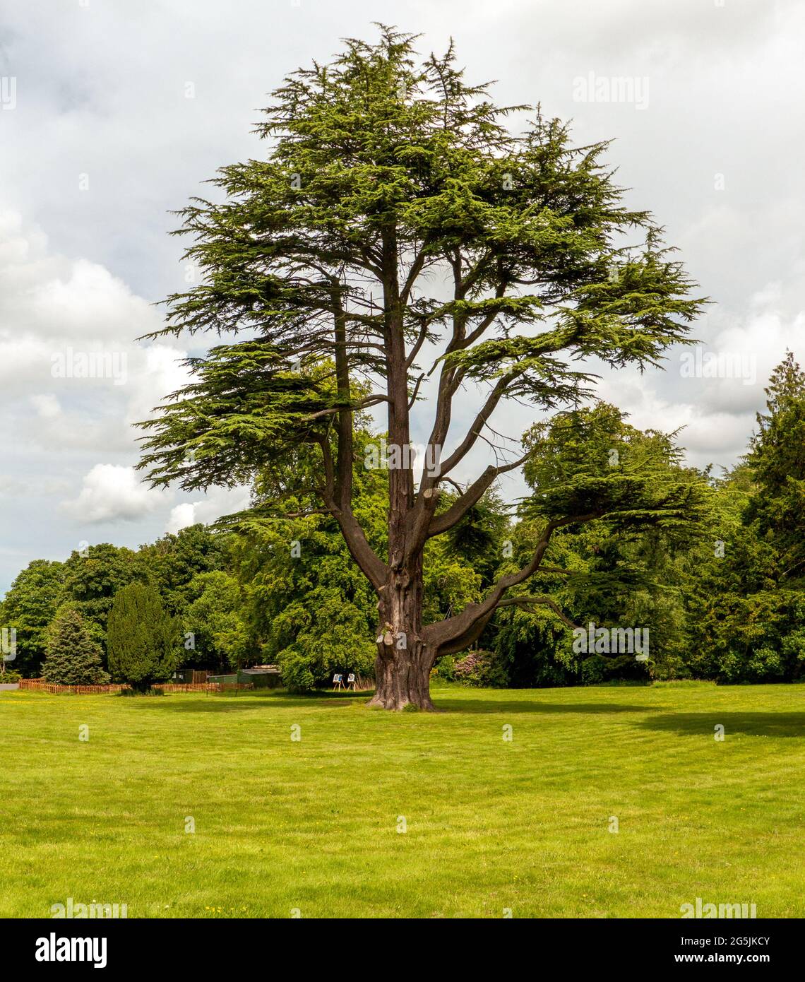 Dalhousie Castle Hotel Gardens near Bonnyrigg, Scotland, UK Stock Photo