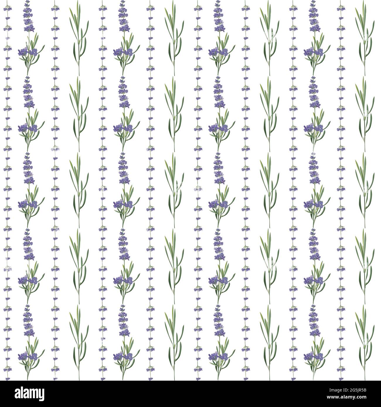 Seamless pattern with violet Lavender beautiful flower template in ...