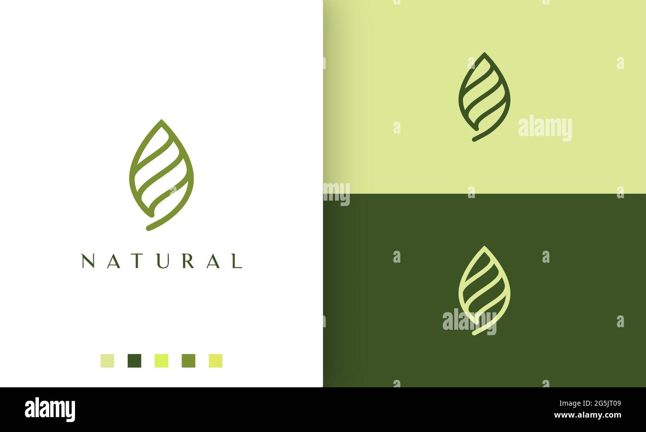 abstract green leaf logo with simple and modern style Stock Vector