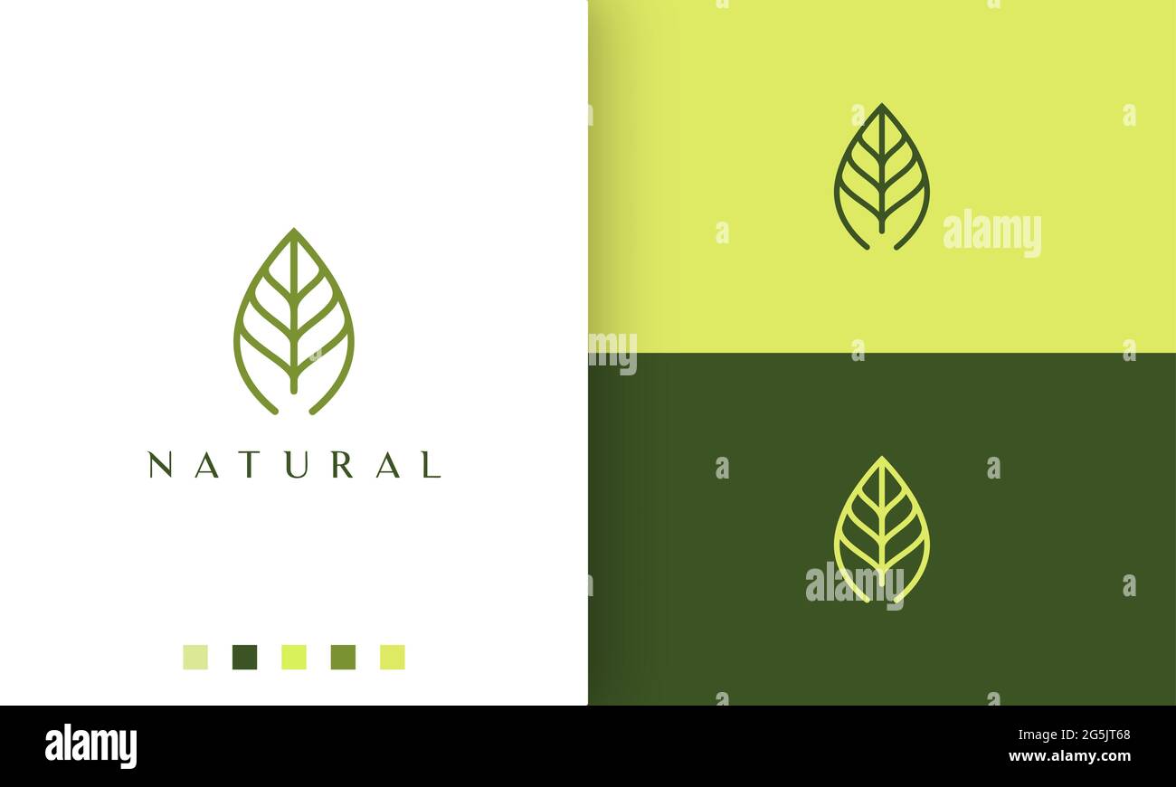 green leaf logo with simple and modern style Stock Vector