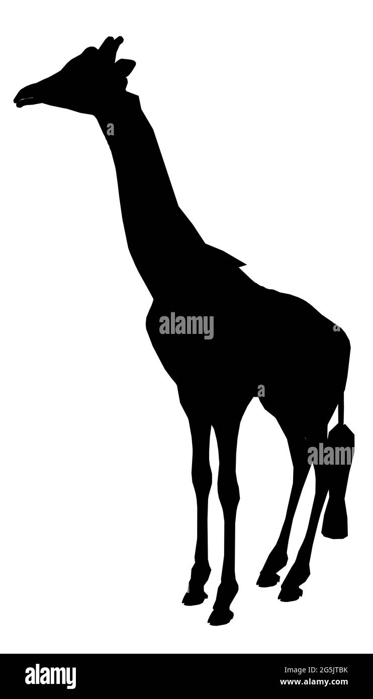 Silhouette of a giraffe isolated on a white background. Vector illustration. Stock Vector