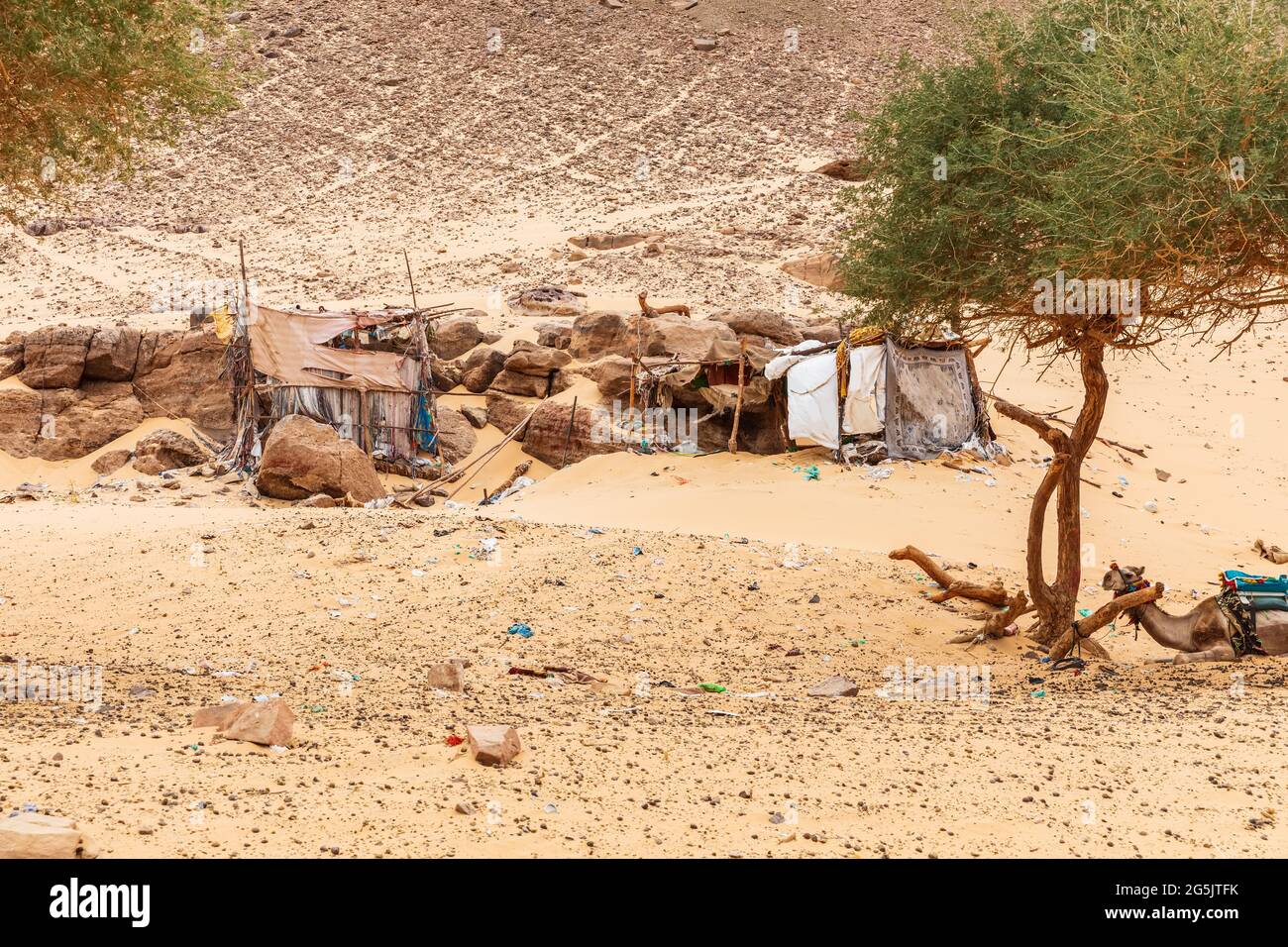 Typical bedouin's tents in the desert of Africa, Egypt Stock Photo