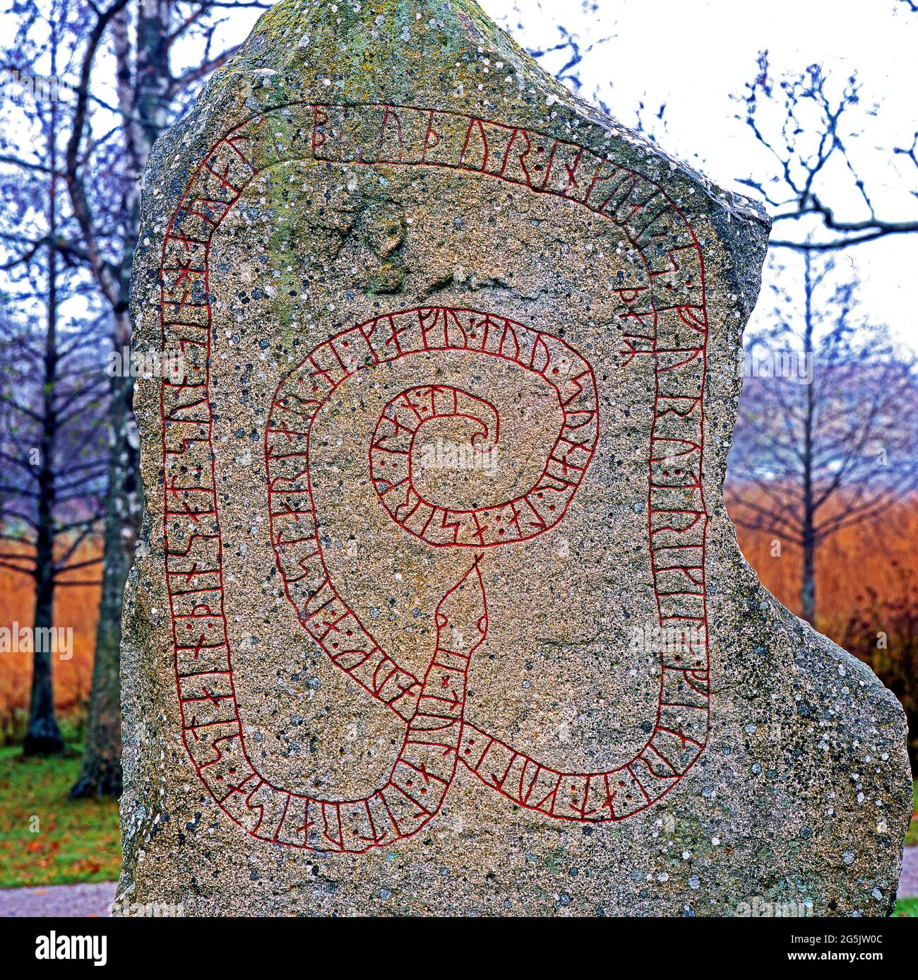 Tola’s Rune Stone for her son Harald c. 1000, Mariefred, Stock Photo