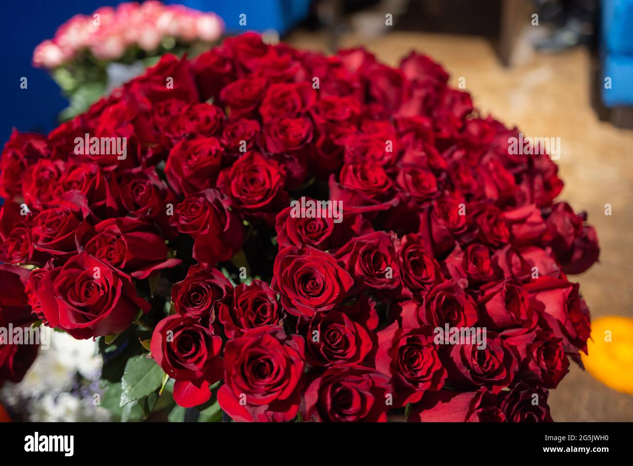 Woman holds luxury bouquet of red roses Stock Photo - Alamy