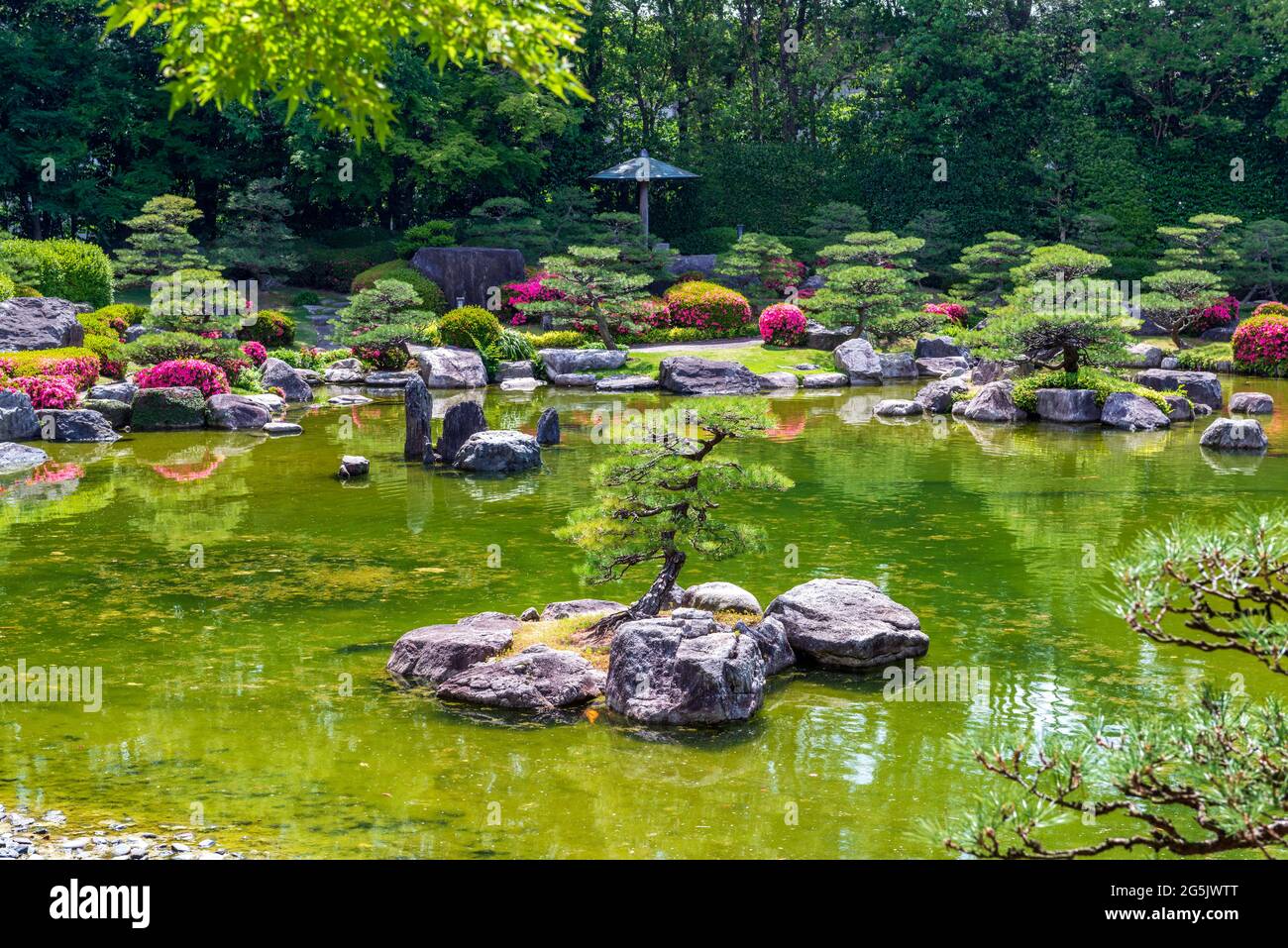 Public japanese garden in Fukuoka city, lake, island, bonsai trees, and blooming rhododendrons Stock Photo