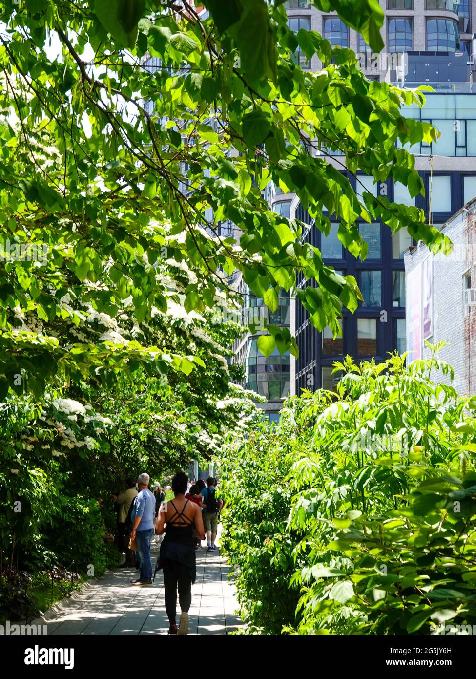 People walking on the High Line linear park in Manhattan, New York, NY ...