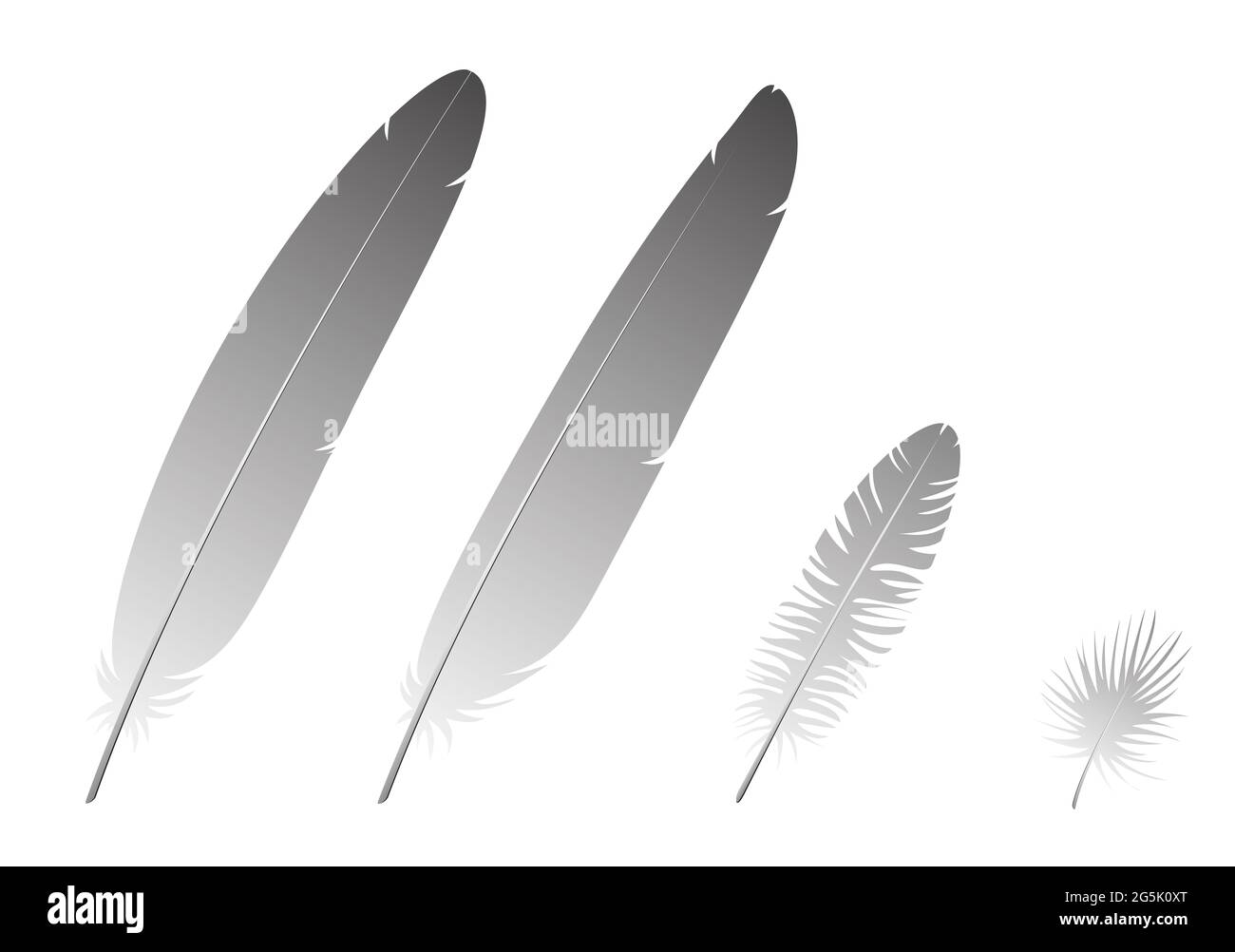 Beta keratin hires stock photography and images Alamy