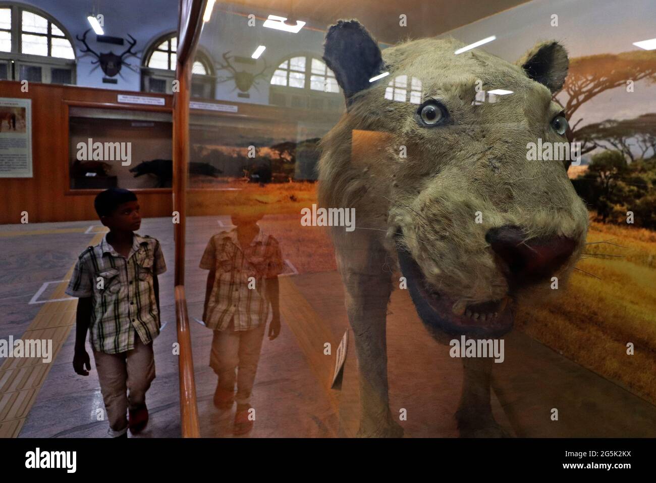 Chennai, Tamil Nadu, India. 28th June, 2021. A boy looks the exhibits at the Egmore Government museum after the state authorities relaxed the lockdown norms following a marginal drop in Covid-19 coronavirus cases in Chennai. Credit: Sri Loganathan/ZUMA Wire/Alamy Live News Stock Photo