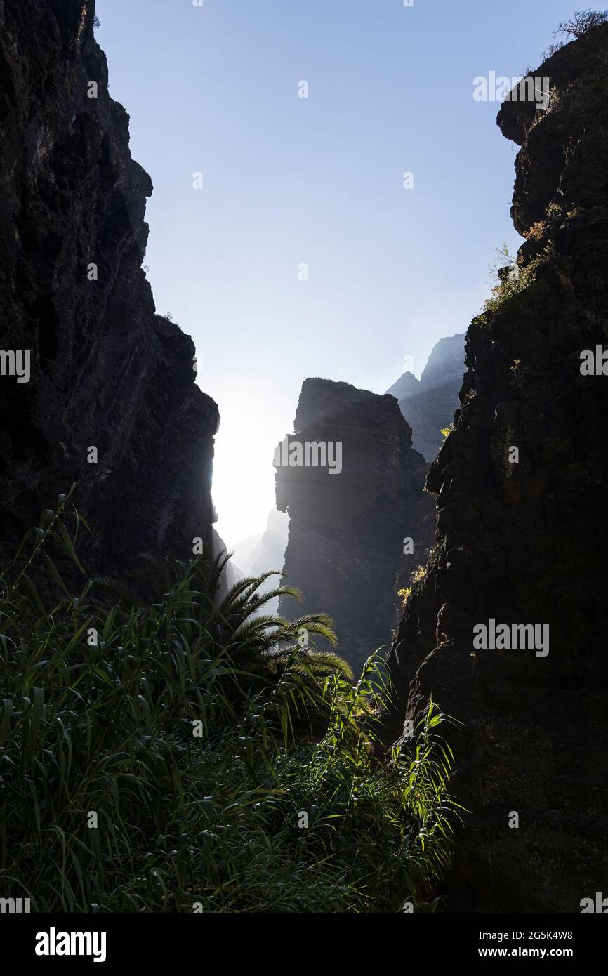 Barranco of Masca, volcanic ravine, gorge, walk down from the mountain village to the coast, Tenerife, Canary Islands, Spain Stock Photo