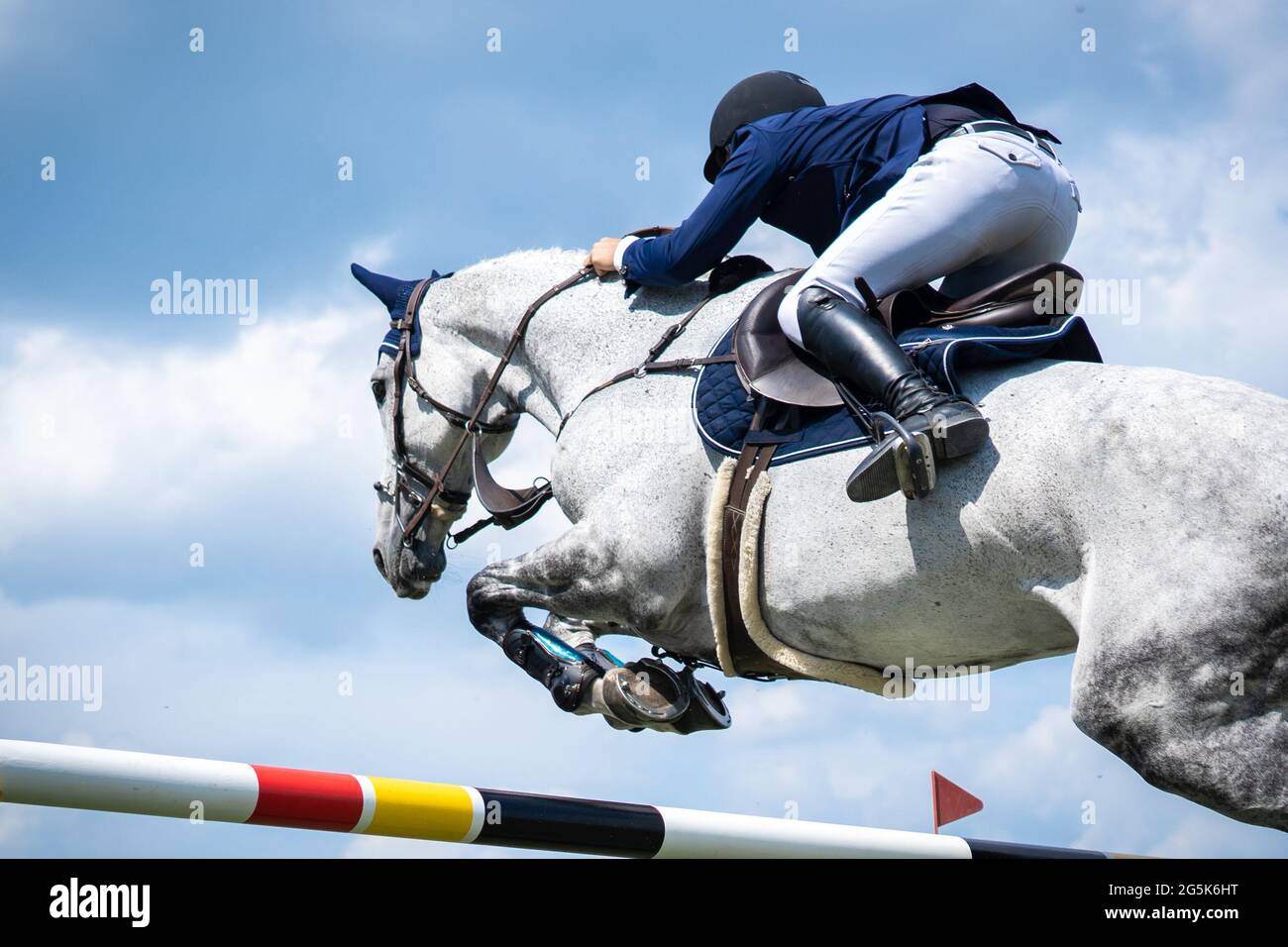 close-up pernas de cavalo esporte em show jumping na arena à luz do sol  evento de salto de cavalo, show jumping sports. 7074303 Foto de stock no  Vecteezy