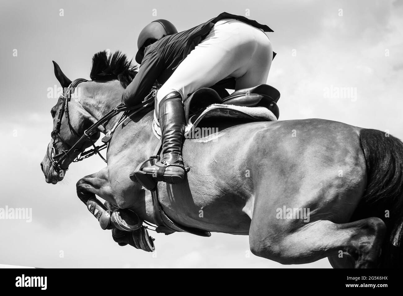 Black and white Equestrian Sports photo-themed: Horse jumping, Show Jumping, Horse riding. Stock Photo