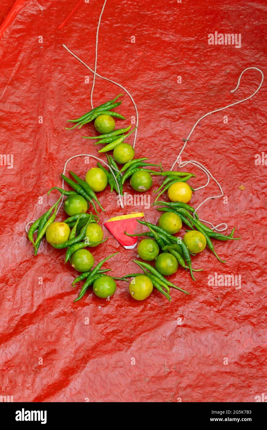 lemons and green chilis tied together by white string, Hindu religious and spiritual symbol for protection against evil spirit on objetcs they will be Stock Photo